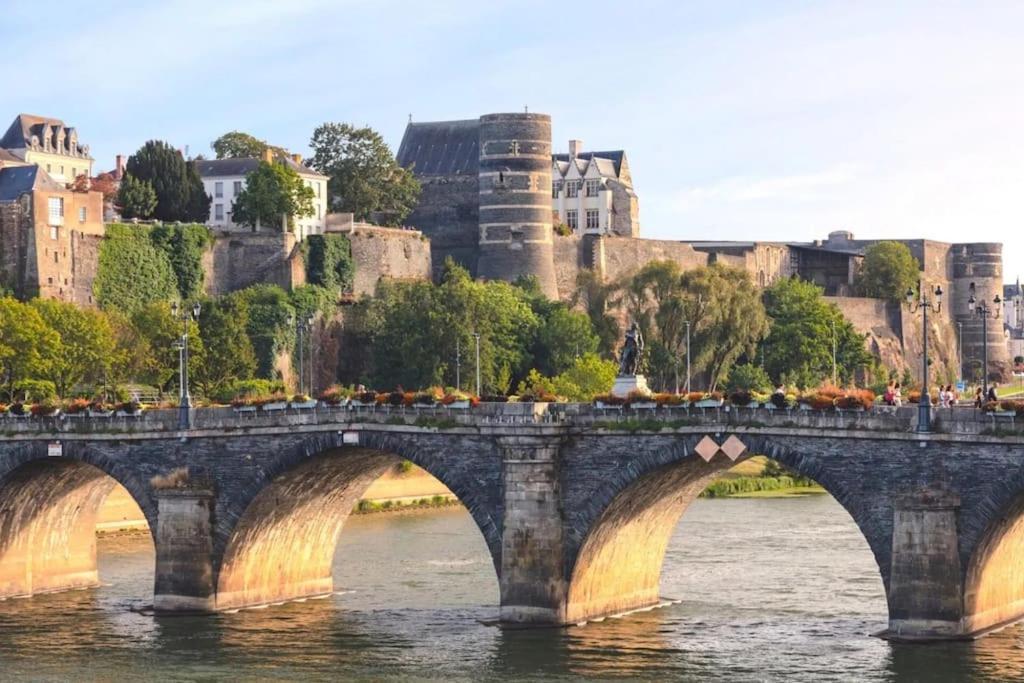 Angers Centre- Gare - Chateau - Duplex 2 Chambres 外观 照片